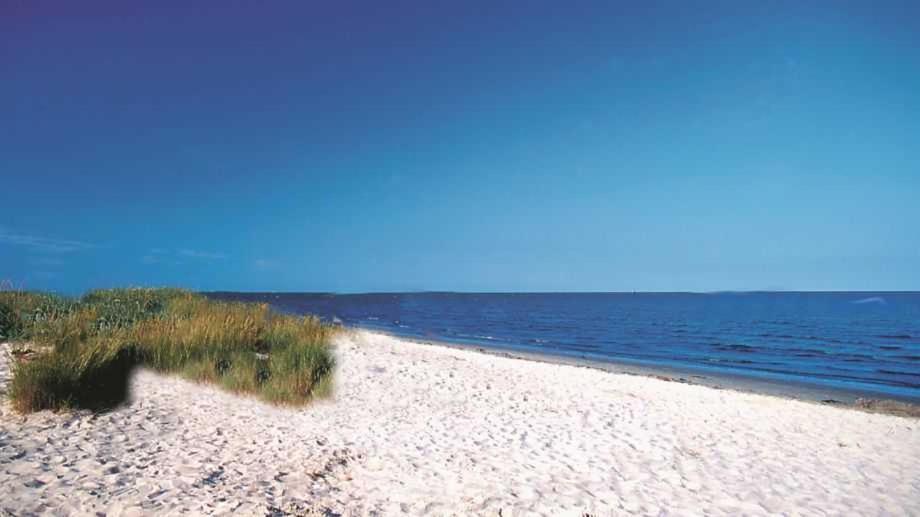 شقة Witte Huus 75M_ Und 51M_ Ferienwoh هوكسيل المظهر الخارجي الصورة